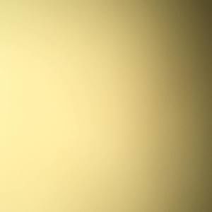 Meet your Posher, Jerry